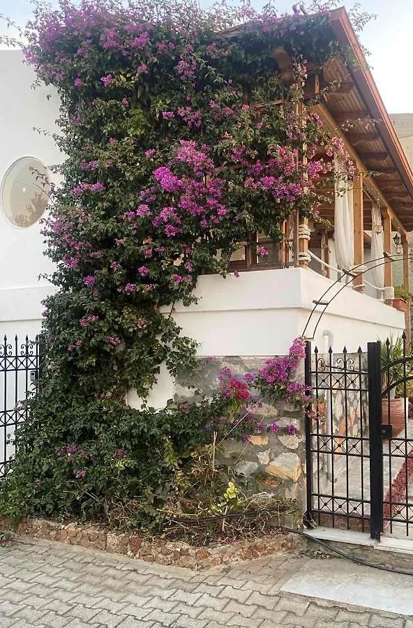 Villa Beautiful Beach House Gerakini